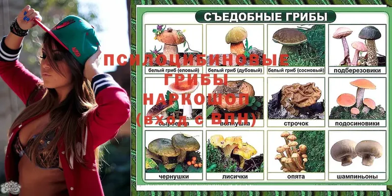 где купить наркоту  Чусовой  Галлюциногенные грибы ЛСД 